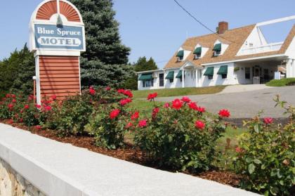 The Blue Spruce Motel And Townhouses Review